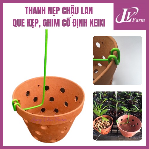 Thanh Nẹp Chậu Lan, Que kẹp, Ghim Cố Định Kie Siêu Tiện Lợi Dùng Cho Hoa Lan, Cây Cảnh