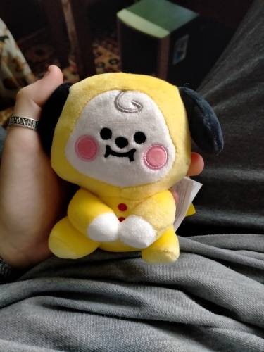 Móc khóa Nhồi Bông Hình Nhân Vật Kpop BTS BT21 CHIMMY COOKY KOYA MANG RJ SHOOKY TATA