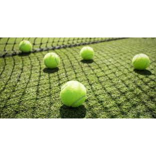 BÓNG - BANH TENNIS CŨ, GIÁ RẺ. MUA 4 TRÁI KÈM MỘT CHIẾC HỘP WILSON - HALIDO