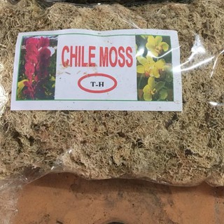 Dớn chile 100gram , dớn chi lê,vật dụng trồng phong lan,giữ ẩm cực tốt cho lan hồ điệp