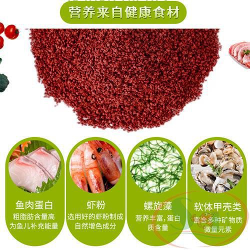 Thức Ăn Cá Dĩa Biozym Discus Food BD1001 Tăng Màu Tự Nhiên