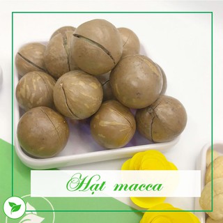 Set Hạt Nấu Sữa - Set Macca Mix