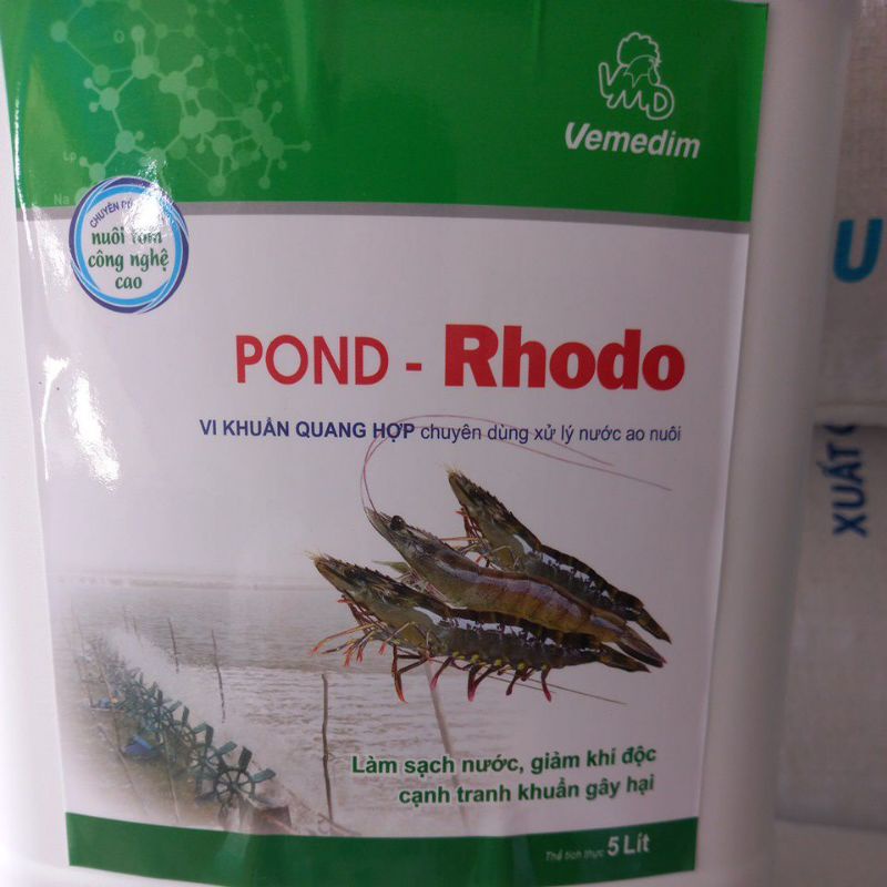 CHẾ PHẨM SINH HỌC POND RHODO  5 Lít/cal