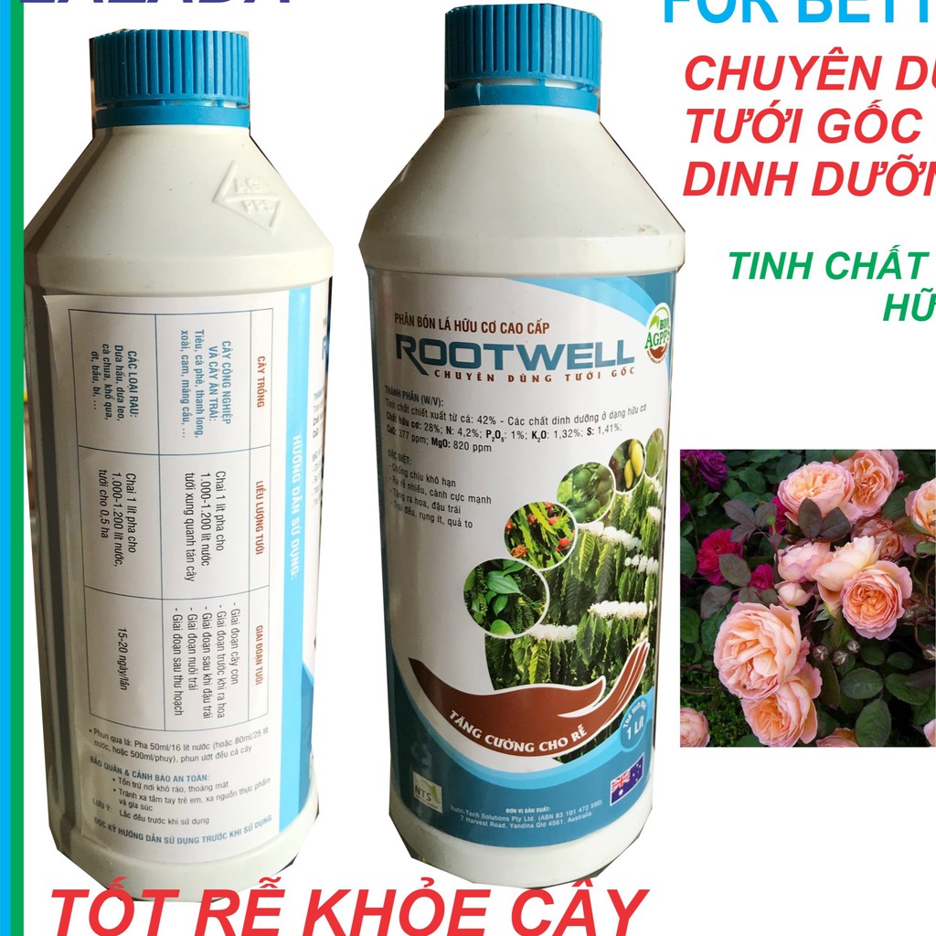 Phân Bón Cao Cấp Rootwell của Lộc Trời Dinh Dưỡng Rễ Phun Hoặc Tưới Chai 1 Lít
