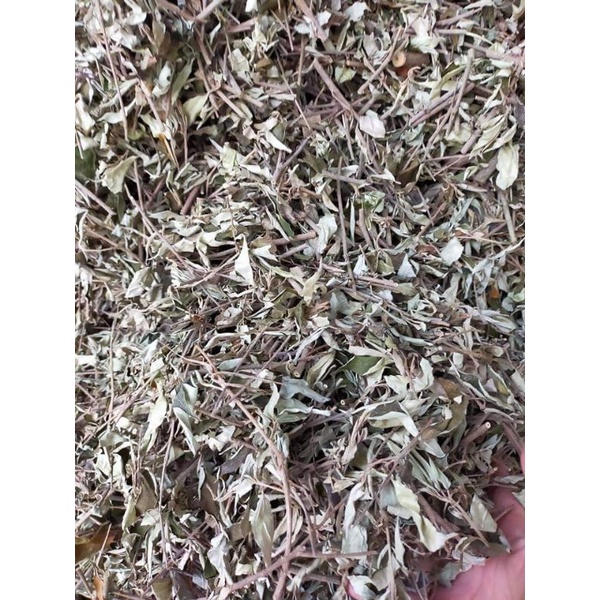 (Giá 500gr-1kg) Lá Khổ Sâm hỗ trợ đại tràng tiêu hóa kém