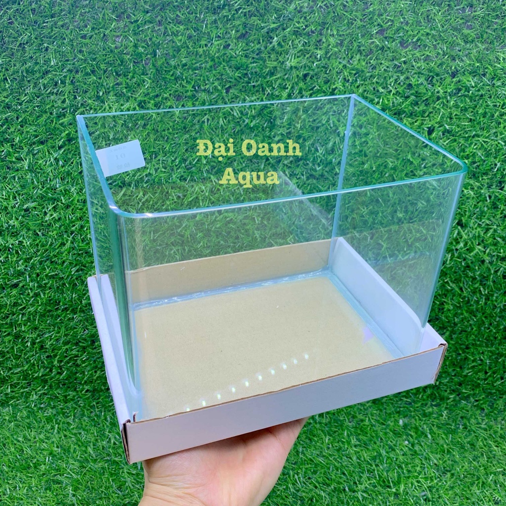 Bể Cá Kính Đúc Mini 25cm Kèm Đèn Lọc Để Bàn, Dài 25cm Rộng 16 Cao 18cm - Bể Cá Cảnh Mini