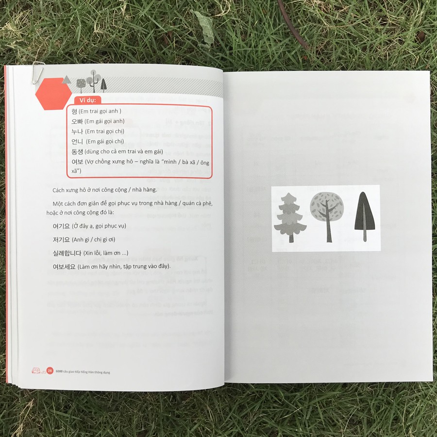 Sách - 6000 Câu Giao Tiếp Tiếng Hàn Theo Chủ Đề | BigBuy360 - bigbuy360.vn
