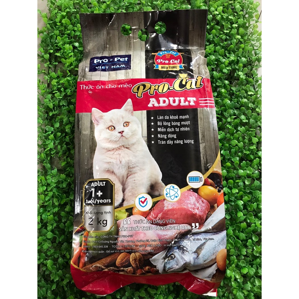 Hạt Pro Cat Túi 2kg - Hạt Cho Mèo Trưởng Thành Trên 1 Tuổi