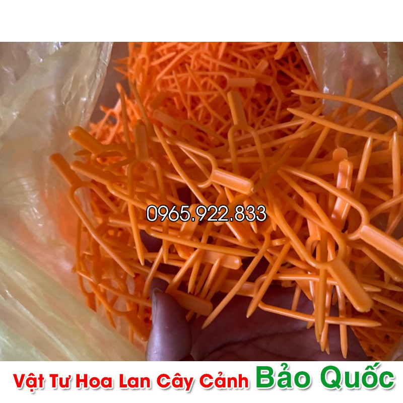 Ghim cố định Kie  cho Hoa Lan