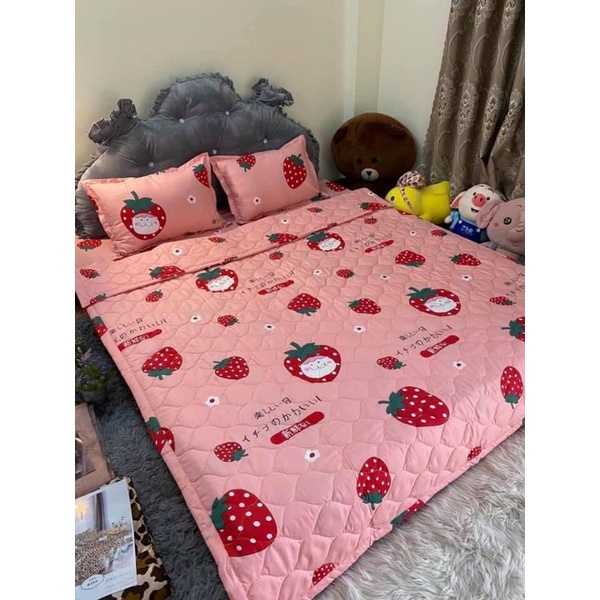 Bộ chăn ga gối hè 5 món cottongpoly Hàn Quốc
