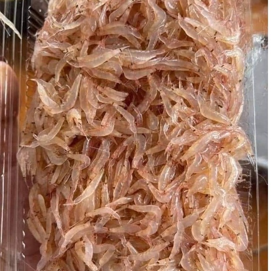 Tép moi biển tươi h500gr