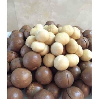 Sỉ toàn quốc hạt mắc ca 100g - 200g - 300g