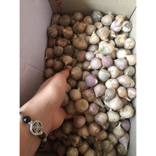 Combo 3kg tỏi cô đơn