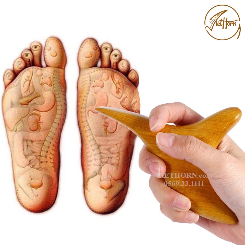 COMBO bộ 5 Dụng Cụ day ấn Huyệt Mát xa toàn thân kiểu Thái bằng gỗ thơm - VIETHORN chăm sóc sức khỏe toàn diện