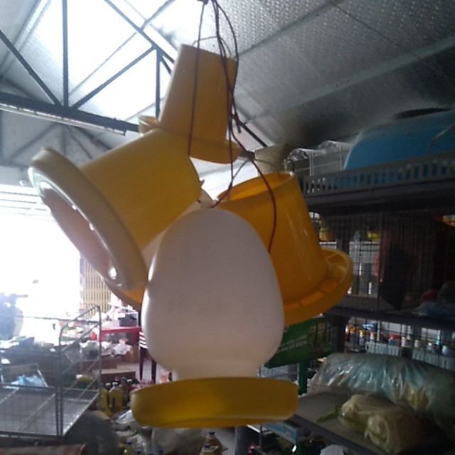 Gà vịt máng ăn và  uống