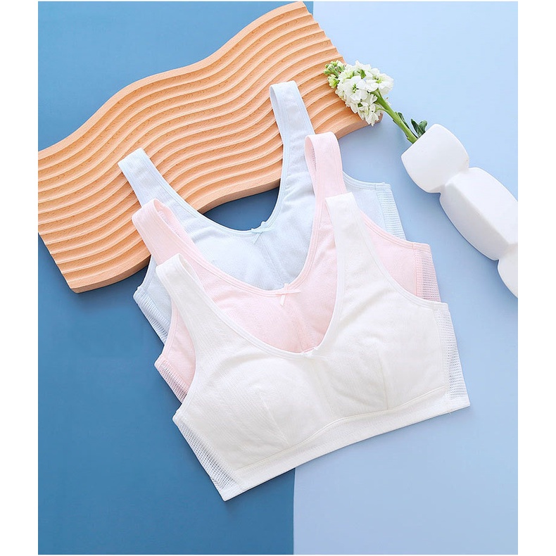 Mẫu Áo Lá Cotton Có Đệm Mút Cho Bé Gái Đi Học