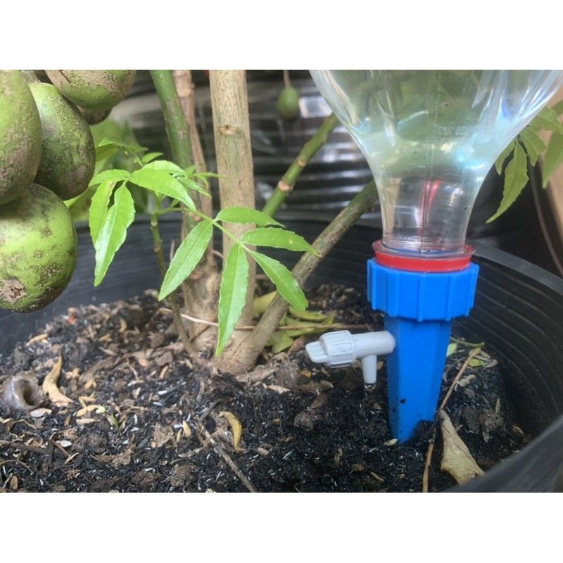vòi tưới cây nhỏ giọt tự động lắp vào chai lọ thông dụng như coca, c2, nước lọc
