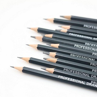 14 Bút chì vẽ tranh cao cấp chuyên dụng loại 12B - 6H