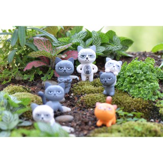 1 con mèo bực tức ngẫu nhiên terrarium tiểu cảnh