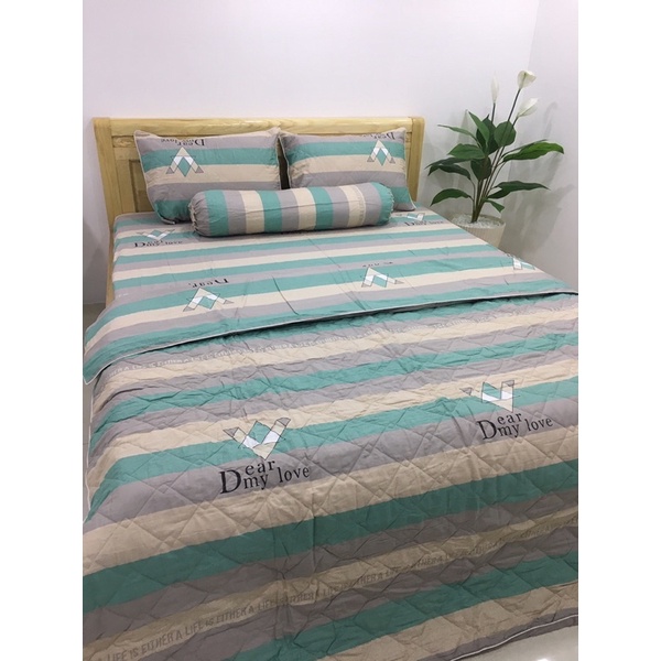 Sale Bộ chăn ga 100% cotton Hàn Quốc 5 món 1m đến 1m8 GỐI ÔM DÂY KHOÁ