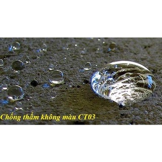 Chất chống thấm không màu Sotin CT03 1 lít