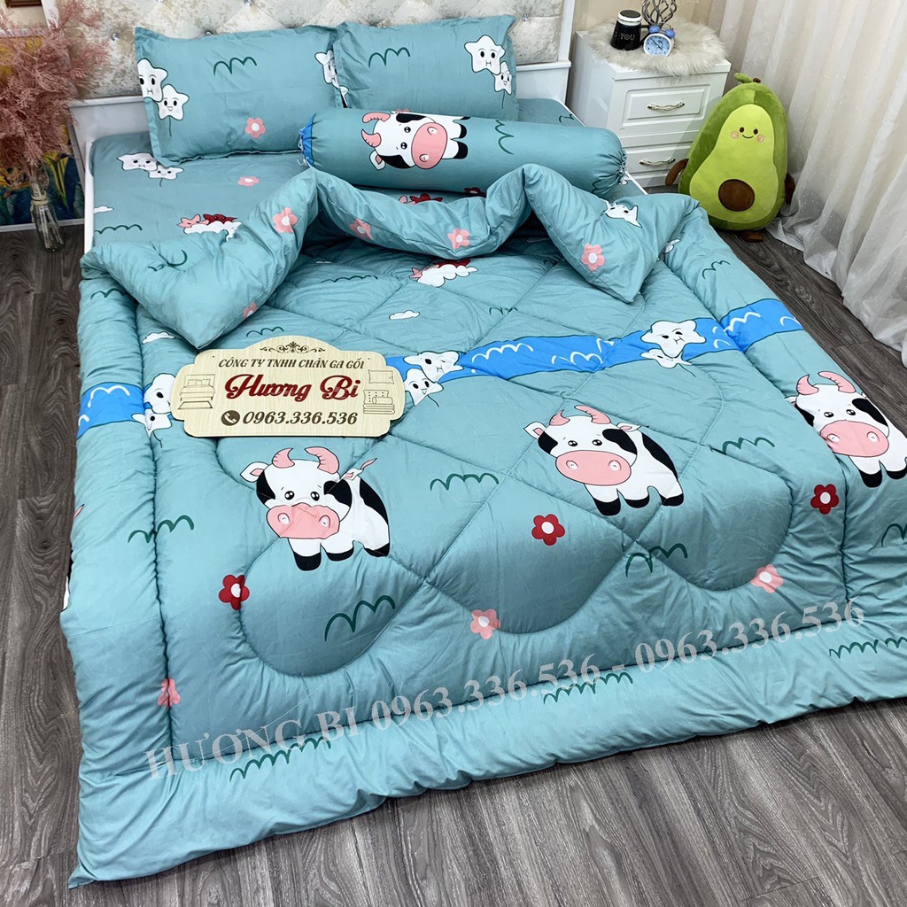 Trọn bộ 5 món ga gối chăn phao poly cotton có ruột bông dày loại 1
