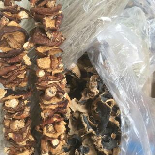 Nấm hương rừng xiên