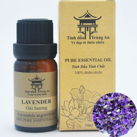 Tinh Dầu Thiên Nhiên Nguyên Chất Chai Nhỏ Giọt 10ml, Chai Treo Xe Hơi - TINH DẦU TRÀNG AN