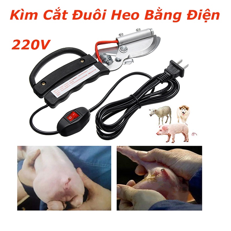 Kìm Bấm Đuôi Heo- Kìm Cắt Đuôi Lợn Bằng Điện