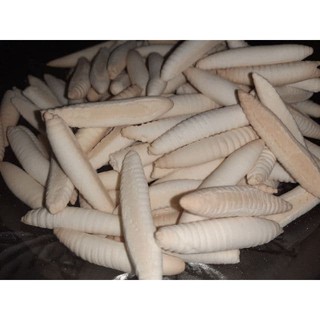 Bánh con sùng