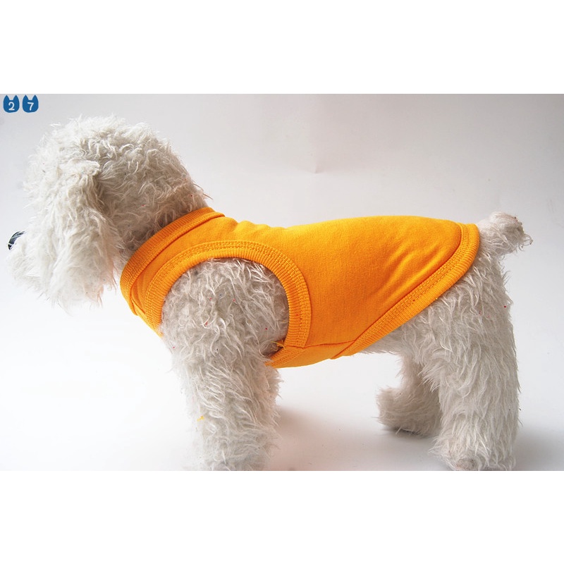 (MớI) Áo Vest MùA Hè, MàU Trơn Cho Thú Cưng