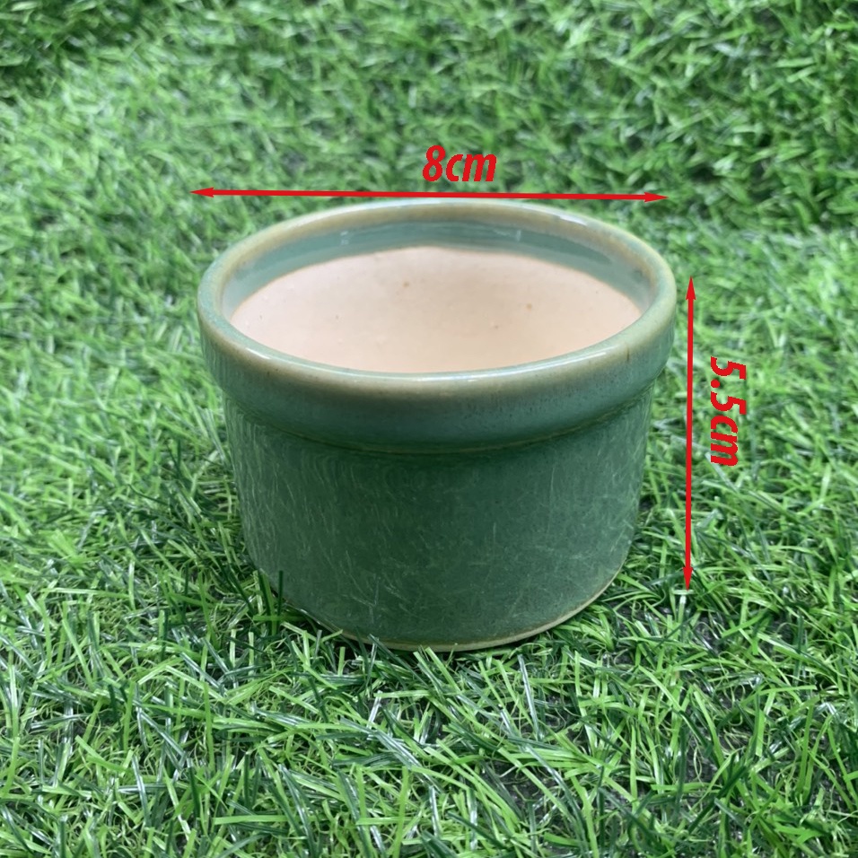 Chậu gốm sứ trồng sen đá nhiều kiểu dáng màu sắc đẹp - Chậu mini trồng cây để bàn