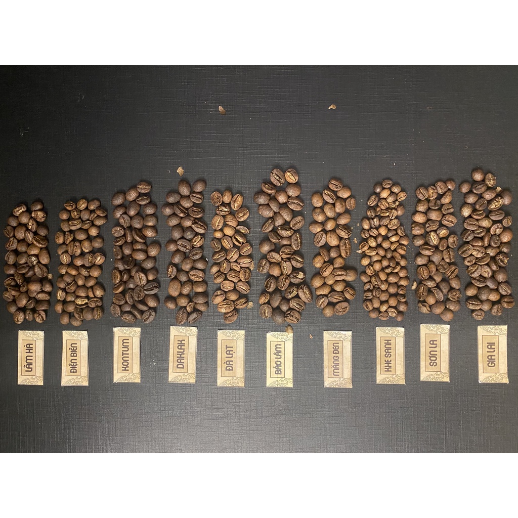 Bộ 10 loại cà phê ngon nhất đến từ 10 vùng nguyên liệu đặc trưng của Việt Nam
