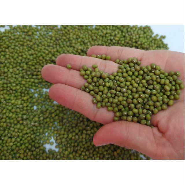 Đậu xanh làm giá
