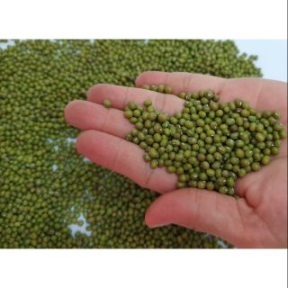 Đậu xanh làm giá