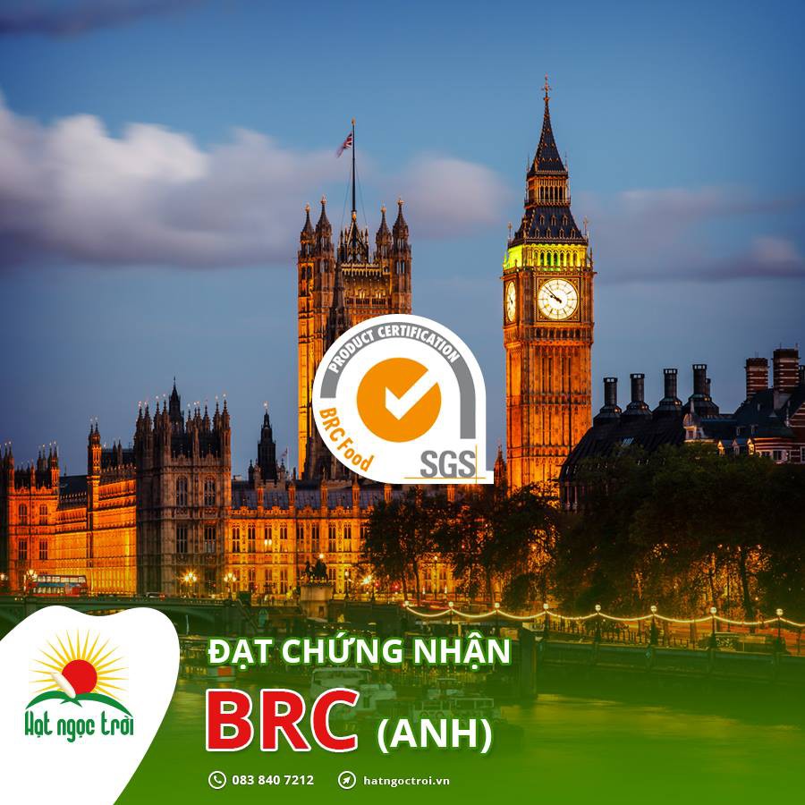 Gạo HẠT NGỌC TRỜI BẠCH DƯƠNG 5kg | BigBuy360 - bigbuy360.vn