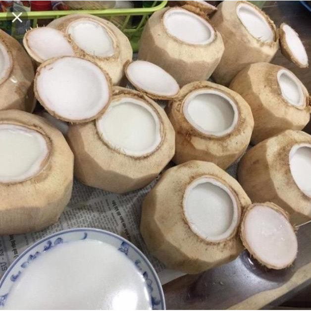 Set làm thạch dừa tại nhà siêu rẻ