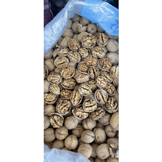 Quả óc chó Sa Pa loại 1