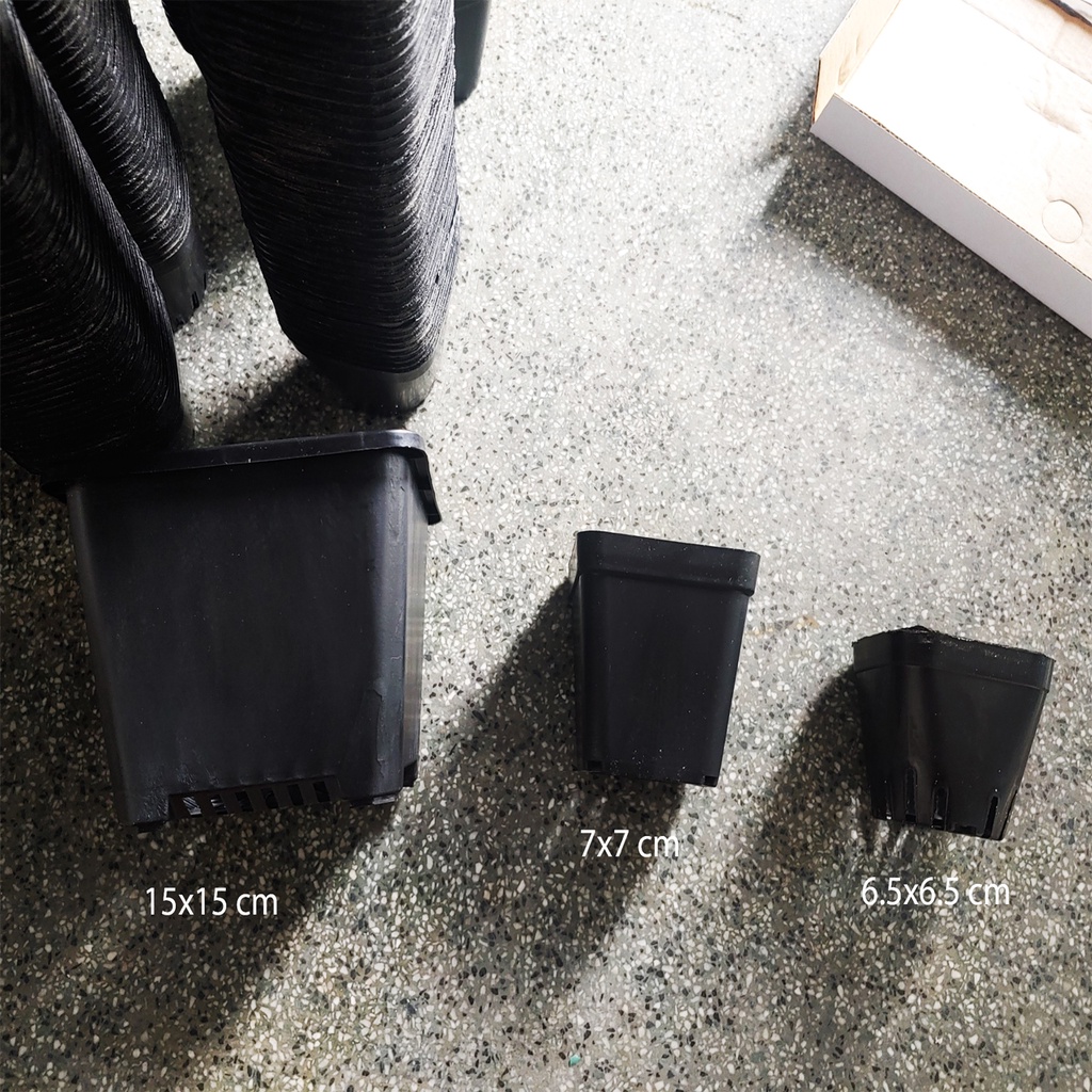 Châu Vuông Nhựa Đen Trồng Cây Sen Đá Cây Bắt Mồi Cây Ăn Thịt Nhiều Kích Thước 6.5 cm - 7cm - 15 cm