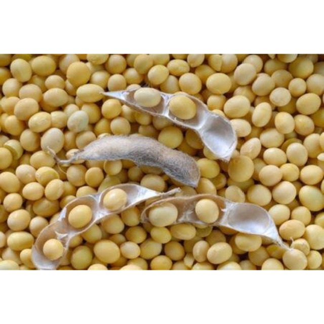 1kg Đậu nành đậu tương quê hữu cơ làm sữa