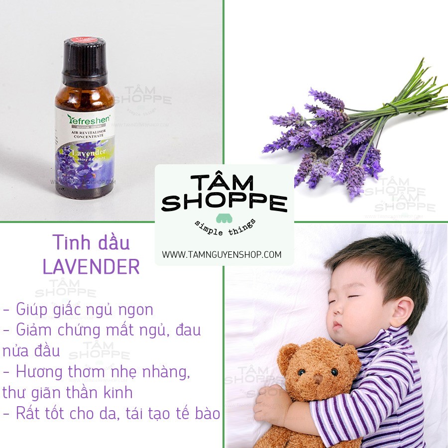 [TD THIÊN NHIÊN] Tinh dầu oải hương Lavender Refreshen 20ml