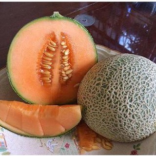 Gói 10 hạt giống quả dưa lươi xanh ruột cam siêu ngọt