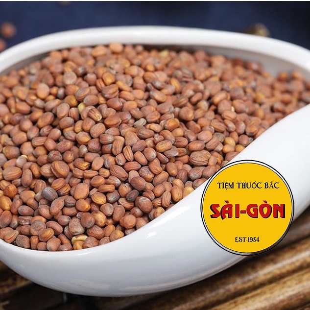 La Bạc Tử - Lai Phục Tử 100g