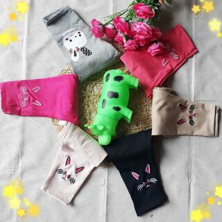 Combo 50q legging