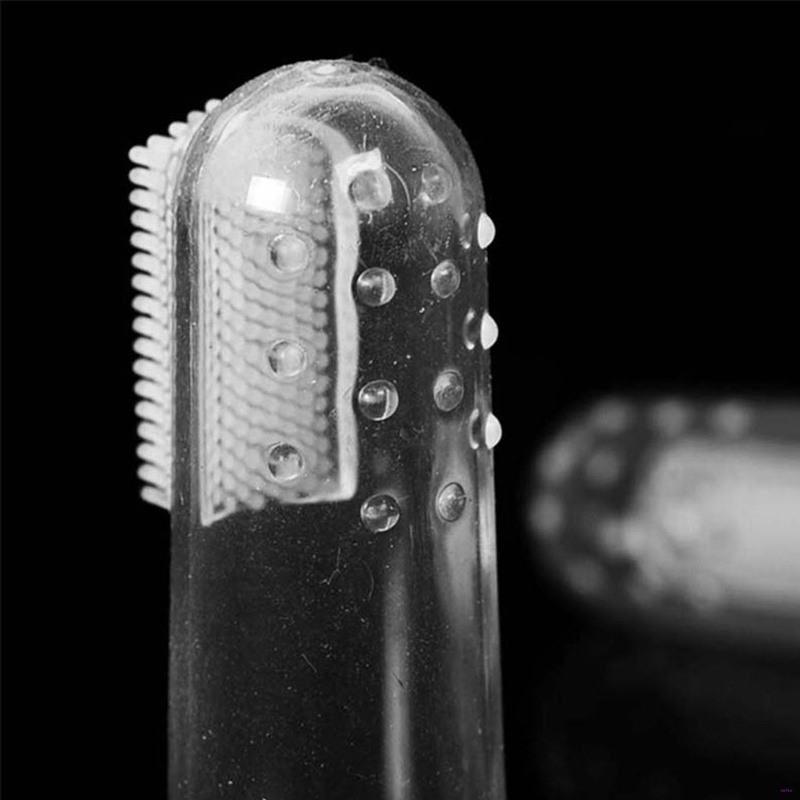 Bộ Bàn Chải Kèm Silicon Ngón Tay Và Kem Đánh Răng Cho Chó Mèo Giúp Chống Hôi Miệng Chắc Khỏe Răng - Bobo Pet Shop Hà Nội