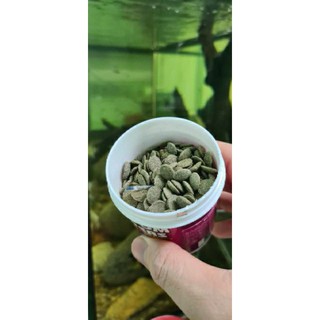Thức ăn BOTTOM FEEDERS dành cho cá cảnh (cá tầng đáy)