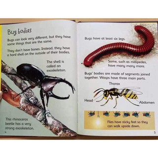 Bộ nhập -  Beginners Nature Collection (10 Books)