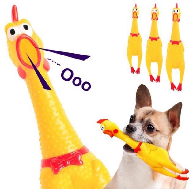 Giảm giáCTVD- Con gà Trung Ruồi, gà nhựa bóp kêu (3 size) Gà La hét Đồ chơi cho chó mèo