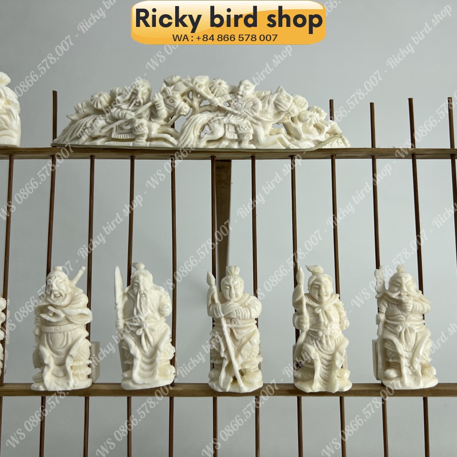 Bone set for Puteh bird cage - Samkok design - Phụ kiện chim Ricky bird shop