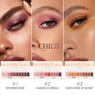 Bảng mắt nội địa trung focallure, phấn mắt nội địa trung chính hãng chất phấn mịn dễ lên màu